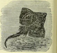 Picture 153 of 182 from Cassell's dictionary of cookery, with numerous engravings and full-page coloured plates : containing about nine thousand recipes. (1880), leaf 1098