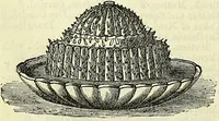 An illustration from Cassell's dictionary of cookery, with numerous engravings and full-page coloured plates : containing about nine thousand recipes. (1880)