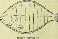Picture 161 of 182 from Cassell's dictionary of cookery, with numerous engravings and full-page coloured plates : containing about nine thousand recipes. (1880), leaf 1130