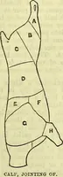 Picture 165 of 182 from Cassell's dictionary of cookery, with numerous engravings and full-page coloured plates : containing about nine thousand recipes. (1880), leaf 1157