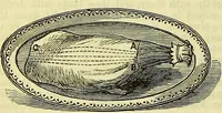 An illustration from Cassell's dictionary of cookery, with numerous engravings and full-page coloured plates : containing about nine thousand recipes. (1880)