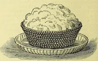 Picture 19 of 182 from Cassell's dictionary of cookery, with numerous engravings and full-page coloured plates : containing about nine thousand recipes. (1880), leaf 158
