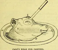 Picture 32 of 182 from Cassell's dictionary of cookery, with numerous engravings and full-page coloured plates : containing about nine thousand recipes. (1880), leaf 215