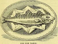 Picture 36 of 182 from Cassell's dictionary of cookery, with numerous engravings and full-page coloured plates : containing about nine thousand recipes. (1880), leaf 262