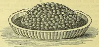 Picture 41 of 182 from Cassell's dictionary of cookery, with numerous engravings and full-page coloured plates : containing about nine thousand recipes. (1880), leaf 298
