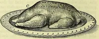 Picture 43 of 182 from Cassell's dictionary of cookery, with numerous engravings and full-page coloured plates : containing about nine thousand recipes. (1880), leaf 304