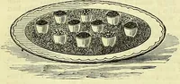 Picture 46 of 182 from Cassell's dictionary of cookery, with numerous engravings and full-page coloured plates : containing about nine thousand recipes. (1880), leaf 312