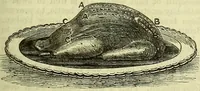 Picture 57 of 182 from Cassell's dictionary of cookery, with numerous engravings and full-page coloured plates : containing about nine thousand recipes. (1880), leaf 381