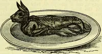 Picture 64 of 182 from Cassell's dictionary of cookery, with numerous engravings and full-page coloured plates : containing about nine thousand recipes. (1880), leaf 423