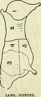 Picture 69 of 182 from Cassell's dictionary of cookery, with numerous engravings and full-page coloured plates : containing about nine thousand recipes. (1880), leaf 470
