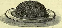 Picture 77 of 182 from Cassell's dictionary of cookery, with numerous engravings and full-page coloured plates : containing about nine thousand recipes. (1880), leaf 535