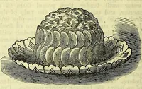 An illustration from Cassell's dictionary of cookery, with numerous engravings and full-page coloured plates : containing about nine thousand recipes. (1880)