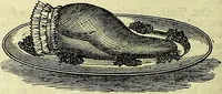 Picture 87 of 182 from Cassell's dictionary of cookery, with numerous engravings and full-page coloured plates : containing about nine thousand recipes. (1880), leaf 608