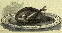 Picture 91 of 182 from Cassell's dictionary of cookery, with numerous engravings and full-page coloured plates : containing about nine thousand recipes. (1880), leaf 633