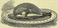 Picture 96 of 182 from Cassell's dictionary of cookery, with numerous engravings and full-page coloured plates : containing about nine thousand recipes. (1880), leaf 666