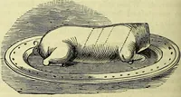 Picture 97 of 182 from Cassell's dictionary of cookery, with numerous engravings and full-page coloured plates : containing about nine thousand recipes. (1880), leaf 672