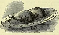 Picture 99 of 182 from Cassell's dictionary of cookery, with numerous engravings and full-page coloured plates : containing about nine thousand recipes. (1880), leaf 688