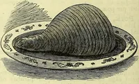 Picture 109 of 182 from Cassell's dictionary of cookery, with numerous engravings and full-page coloured plates : containing about nine thousand recipes. (1880), leaf 728