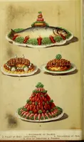 Picture 1 of 182 from Cassell's dictionary of cookery, with numerous engravings and full-page coloured plates : containing about nine thousand recipes. (1880), leaf 8
