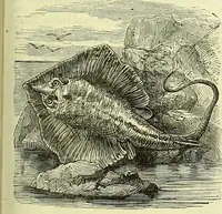 An illustration from Cassell's dictionary of cookery, with numerous engravings and full-page coloured plates : containing about nine thousand recipes. (1880)