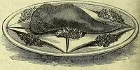 Picture 122 of 182 from Cassell's dictionary of cookery, with numerous engravings and full-page coloured plates : containing about nine thousand recipes. (1880), leaf 850