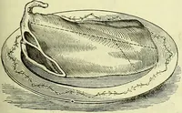 Picture 127 of 182 from Cassell's dictionary of cookery, with numerous engravings and full-page coloured plates : containing about nine thousand recipes. (1880), leaf 911