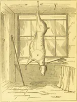 An illustration from Warne's model cookery and housekeeping book : containing complete instructions in household management / compiled and edited by Mary Jewry. (1871)