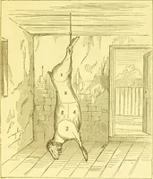 Picture 8 of 54 from Warne's model cookery and housekeeping book : containing complete instructions in household management / compiled and edited by Mary Jewry. (1871), leaf 15
