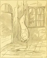 An illustration from Warne's model cookery and housekeeping book : containing complete instructions in household management / compiled and edited by Mary Jewry. (1871)