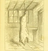 Picture 10 of 54 from Warne's model cookery and housekeeping book : containing complete instructions in household management / compiled and edited by Mary Jewry. (1871), leaf 17