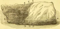 An illustration from Warne's model cookery and housekeeping book : containing complete instructions in household management / compiled and edited by Mary Jewry. (1871)