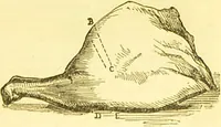 An illustration from Warne's model cookery and housekeeping book : containing complete instructions in household management / compiled and edited by Mary Jewry. (1871)