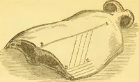 An illustration from Warne's model cookery and housekeeping book : containing complete instructions in household management / compiled and edited by Mary Jewry. (1871)