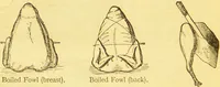 Picture 40 of 54 from Warne's model cookery and housekeeping book : containing complete instructions in household management / compiled and edited by Mary Jewry. (1871), leaf 38