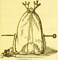 An illustration from Warne's model cookery and housekeeping book : containing complete instructions in household management / compiled and edited by Mary Jewry. (1871)
