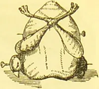 An illustration from Warne's model cookery and housekeeping book : containing complete instructions in household management / compiled and edited by Mary Jewry. (1871)