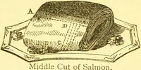 Picture 45 of 54 from Warne's model cookery and housekeeping book : containing complete instructions in household management / compiled and edited by Mary Jewry. (1871), leaf 39