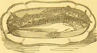 An illustration from Warne's model cookery and housekeeping book : containing complete instructions in household management / compiled and edited by Mary Jewry. (1871)