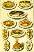 Picture 49 of 54 from Warne's model cookery and housekeeping book : containing complete instructions in household management / compiled and edited by Mary Jewry. (1871), leaf 49