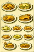 Picture 50 of 54 from Warne's model cookery and housekeeping book : containing complete instructions in household management / compiled and edited by Mary Jewry. (1871), leaf 95