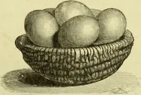 Picture 27 of 124 from The royal cookery book (le livre de cuisine) / by Jules Gouffé ; translated from the French and adapted for English use by Alphonse Gouffé ... comprising domestic and high-class cookery, illustrated with sixteen large plates printed in colours, and one hundred and sixty-one woodcuts from drawings from nature by E. Ronjat. (1883), leaf 101