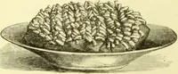 Picture 35 of 124 from The royal cookery book (le livre de cuisine) / by Jules Gouffé ; translated from the French and adapted for English use by Alphonse Gouffé ... comprising domestic and high-class cookery, illustrated with sixteen large plates printed in colours, and one hundred and sixty-one woodcuts from drawings from nature by E. Ronjat. (1883), leaf 134
