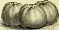 An illustration from The royal cookery book (le livre de cuisine) / by Jules Gouffé ; translated from the French and adapted for English use by Alphonse Gouffé ... comprising domestic and high-class cookery, illustrated with sixteen large plates printed in colours, and one hundred and sixty-one woodcuts from drawings from nature by E. Ronjat. (1883)