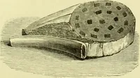 An illustration from The royal cookery book (le livre de cuisine) / by Jules Gouffé ; translated from the French and adapted for English use by Alphonse Gouffé ... comprising domestic and high-class cookery, illustrated with sixteen large plates printed in colours, and one hundred and sixty-one woodcuts from drawings from nature by E. Ronjat. (1883)
