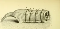 Picture 71 of 124 from The royal cookery book (le livre de cuisine) / by Jules Gouffé ; translated from the French and adapted for English use by Alphonse Gouffé ... comprising domestic and high-class cookery, illustrated with sixteen large plates printed in colours, and one hundred and sixty-one woodcuts from drawings from nature by E. Ronjat. (1883), leaf 404