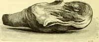 An illustration from The royal cookery book (le livre de cuisine) / by Jules Gouffé ; translated from the French and adapted for English use by Alphonse Gouffé ... comprising domestic and high-class cookery, illustrated with sixteen large plates printed in colours, and one hundred and sixty-one woodcuts from drawings from nature by E. Ronjat. (1883)