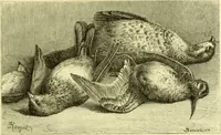 An illustration from The royal cookery book (le livre de cuisine) / by Jules Gouffé ; translated from the French and adapted for English use by Alphonse Gouffé ... comprising domestic and high-class cookery, illustrated with sixteen large plates printed in colours, and one hundred and sixty-one woodcuts from drawings from nature by E. Ronjat. (1883)