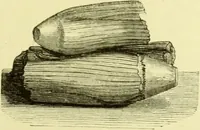 An illustration from The royal cookery book (le livre de cuisine) / by Jules Gouffé ; translated from the French and adapted for English use by Alphonse Gouffé ... comprising domestic and high-class cookery, illustrated with sixteen large plates printed in colours, and one hundred and sixty-one woodcuts from drawings from nature by E. Ronjat. (1883)