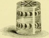 An illustration from The royal cookery book (le livre de cuisine) / by Jules Gouffé ; translated from the French and adapted for English use by Alphonse Gouffé ... comprising domestic and high-class cookery, illustrated with sixteen large plates printed in colours, and one hundred and sixty-one woodcuts from drawings from nature by E. Ronjat. (1883)