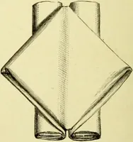 An illustration from The royal cookery book (le livre de cuisine) / by Jules Gouffé ; translated from the French and adapted for English use by Alphonse Gouffé ... comprising domestic and high-class cookery, illustrated with sixteen large plates printed in colours, and one hundred and sixty-one woodcuts from drawings from nature by E. Ronjat. (1883)
